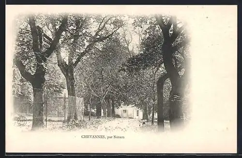 AK Chevannes, Allée arborée près de la maison blanche