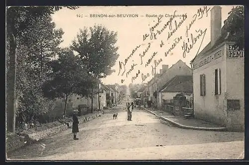 AK Brinon-sur-Beuvron, Route de Chézannes animée avec passants et chien