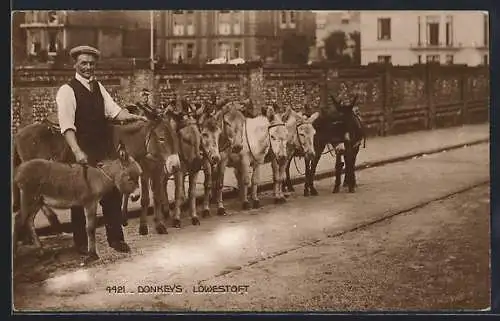 AK Lowestoft, Donkeys