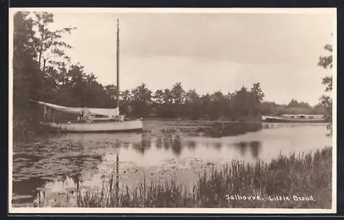 AK Salhouse, Little Broad