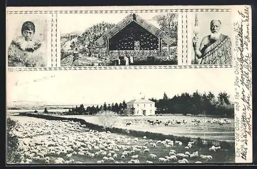 AK Neuseeland, The Old Order and the New Order Scenes