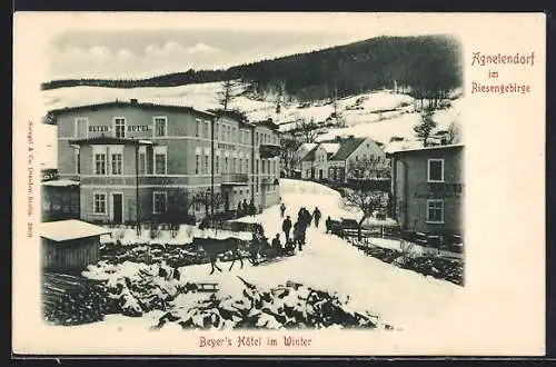 AK Agnetendorf im Riesengebirge, Beyers Hotel im Winter