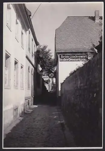 Fotografie unbekannter Fotograf, Ansicht Rüdesheim a. Rh., Blick in die Drosselgasse mit Gasthaus Beim Lindenwirt