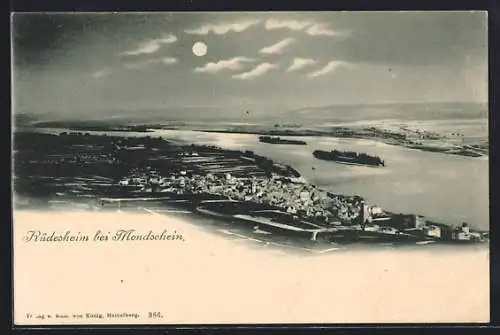 AK Rüdesheim / Rhein, Gesamtansicht mit Flusspartie bei Mondschein