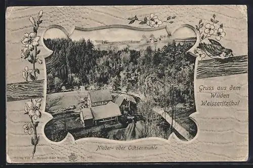 AK Niedermühle /Weisseritzithal, Ortsansicht aus der Vogelschau, Passepartout mit Vögelchen