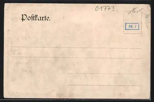AK Niedermühle /Weisseritzithal, Ortsansicht aus der Vogelschau, Passepartout mit Vögelchen