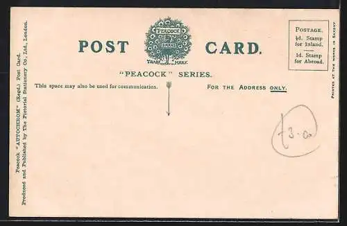 AK Scilly Isles, Fower Farming, Narcissus