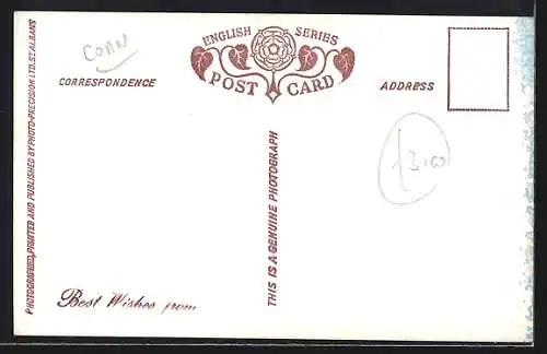 AK Bude, panorama from birds view