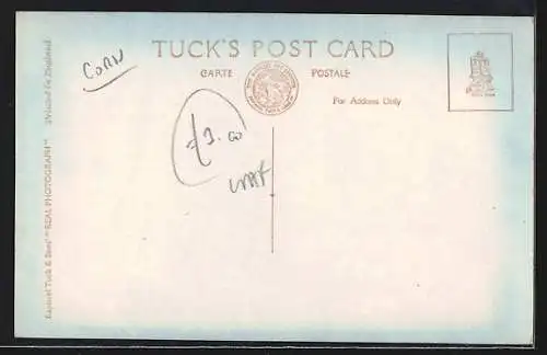 AK St. Mawes, Castle Road