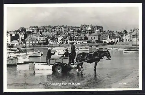 AK St. Ives, unloading fish, city panorama view