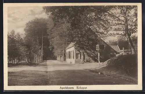 AK Apeldoorn, Echoput
