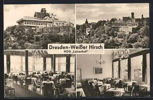AK Dresden-Weisser Hirsch, HOG Luisenhof, Aussen- und Innenansichten