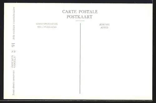 Künstler-AK Hubert Dupond: Goeland brun, Larus fuscus