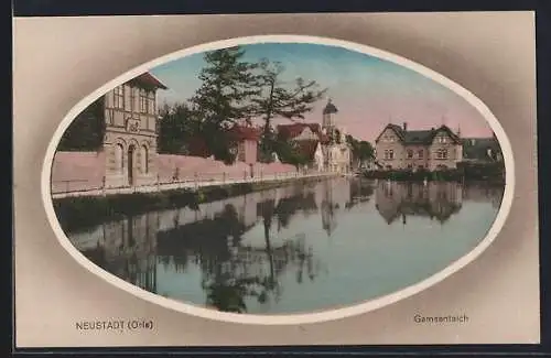 AK Neustadt / Orla, Abendstimmung am Gamsenteich