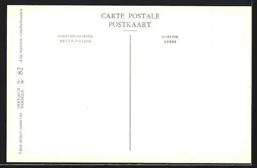 Künstler-AK Hubert Dupond: Sterne caspienne, Hydroprogne caspia, Nuptial, Internuptial, Jeune, Vögel