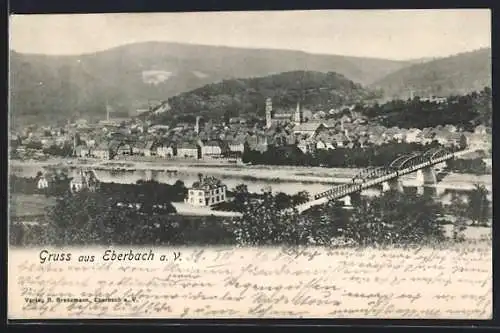 AK Eberbach / Baden, Totalansicht der Ortschaft