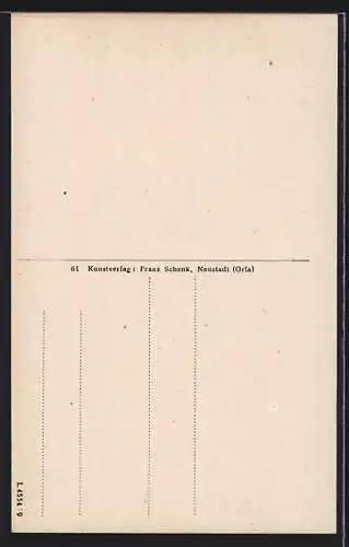AK Neustadt /Orla, Karl-Alexanderstrasse mit Rathaus