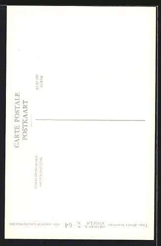 Künstler-AK Hubert Dupond: Nyctea scandiaca, Schneeeule