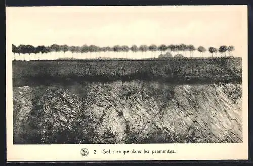 AK Le Condroz, Sol: coupe dans les psammites