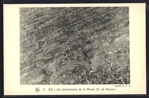 AK Le Condroz, Sol: sol alluvionnaire de la Meuse, E. de Namur