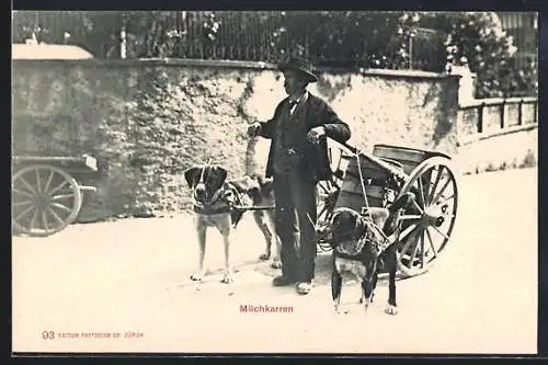 AK Schweiz, Milchkarren mit Milchverkäufer, Hundegespann