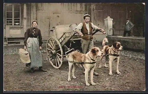 AK Schweizer Milchkarren mit Hundegespann