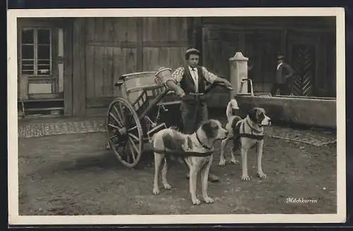 AK Hundegespann vorm Milchkarren und junger Milchfuhrmann