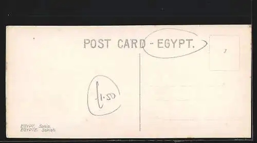 AK Egypt, Sakia, arabische Volkstypen