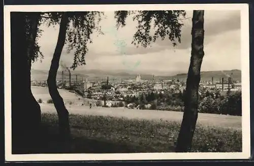 AK Krnov, Panorama mit Bäumen