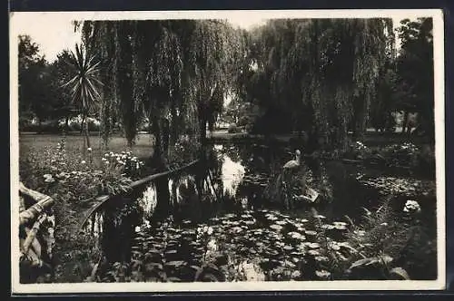 AK Mor. Ostrava, Partie z nové strelnice