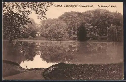 AK Gotha /Thüringen, Im Herzoglichen Park