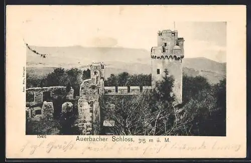 AK Auerbach / Hessen, Auerbacher Schloss mit Blick ins Land