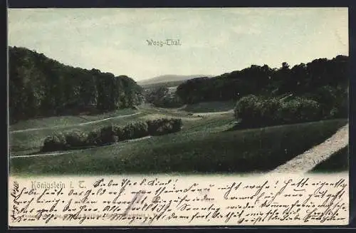 AK Königstein i. T., Woog-Thal Naturidylle