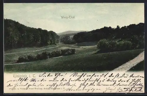 AK Königstein i. T., Woog-Thal Naturidylle