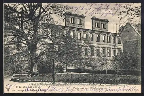 AK Heidelberg / Neckar, Partie aus dem Elisabethgarten