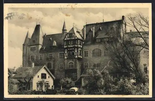 AK Alzey /Rheinhessen, Das Schloss