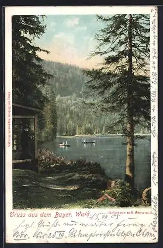 AK Bayerisch Eisenstein, Arbersee mit Seewand