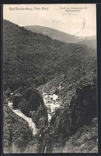 AK Bad Blankenburg /Thür. Wald, Blick ins Schwarzatal mit Weidmannsheil