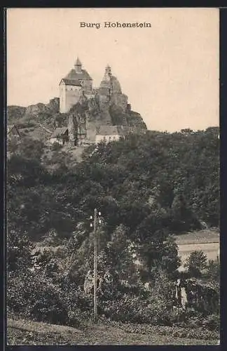 AK Hohenstein / Hersbruck, Blick auf die Burg
