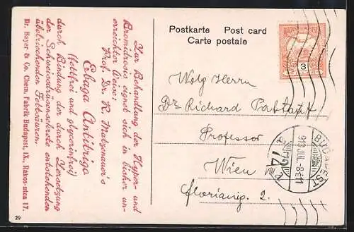 AK Budapest, Fischer-Bastei mit St. Stefans Monument