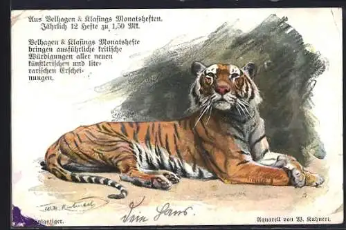 AK Königstiger liegend