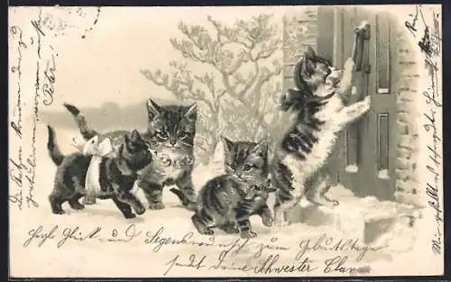 AK Katzenkinder klopfen im Winter an einer Haustür