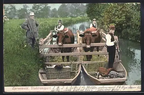AK Spreewald, Viehtransport, Bauern bei der Kahnfahrt, mit Gasthaus-Stempel