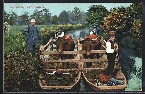 AK Spreewald, Viehtransport mit Kähnen