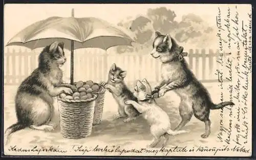 Lithographie vermenschlichte Katze stehen am Stand einer Obstverkäuferin