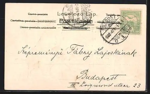 Lithographie vermenschlichte Katze stehen am Stand einer Obstverkäuferin