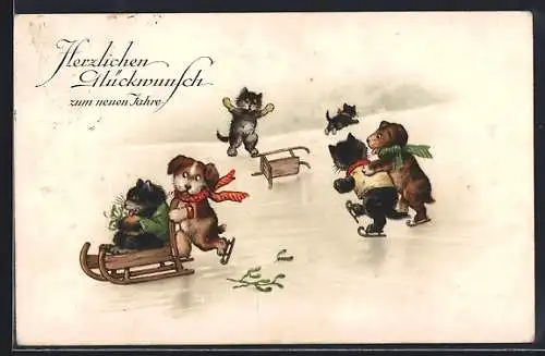 AK vermenschlichte Hunden u. Katzen laufen Schlittschuh, Schlitten