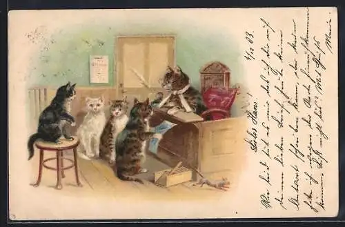 AK Alltag auf dem Katzenamt, vermenschlichte Tiere