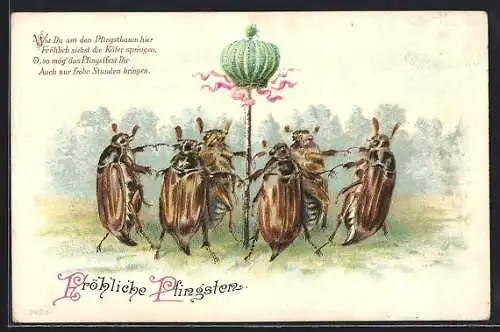 Lithographie Fröhliche Pfingsten, Wie Du um den Pfingstbaum hier..., Maikäfer