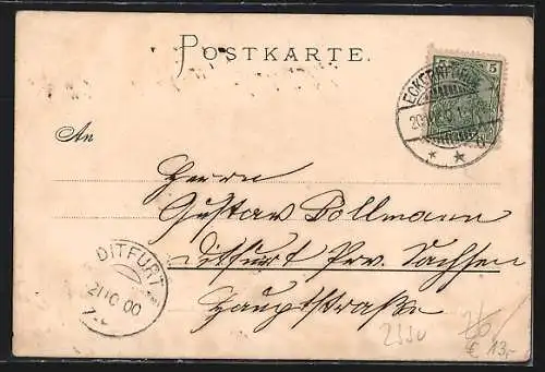 Künstler-AK Carl Biese: Eckernförde, Ortsansicht